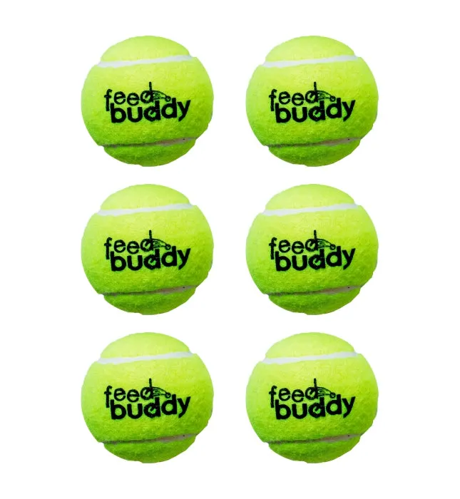 Feed Buddy Tennis Ball (Pack Of 6)