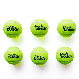 Feed Buddy Tennis Balls